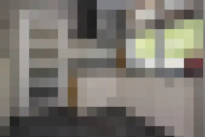 Kelderweg 56 Ouddorp thumbnail 19