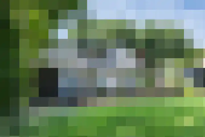 Kelderweg 56 Ouddorp thumbnail 35