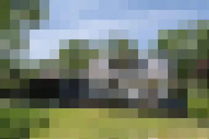 Kelderweg 56 Ouddorp thumbnail 36