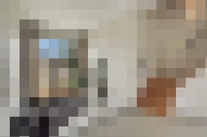 Kelderwindkade 33 Haarlem thumbnail 14