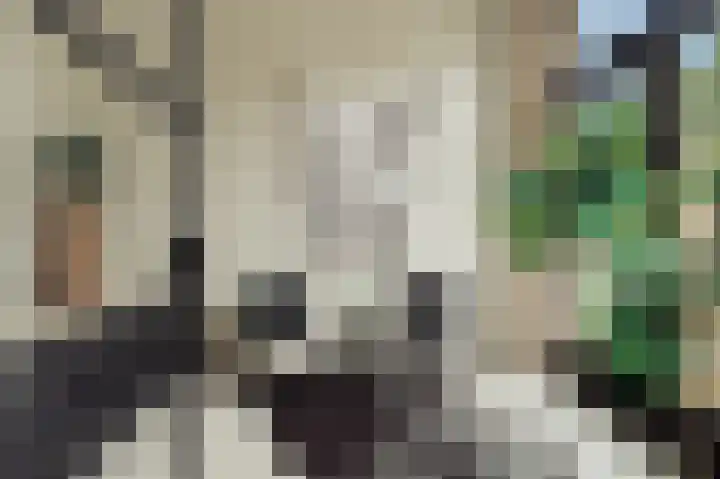 Kelderwindkade 33 Haarlem thumbnail 17