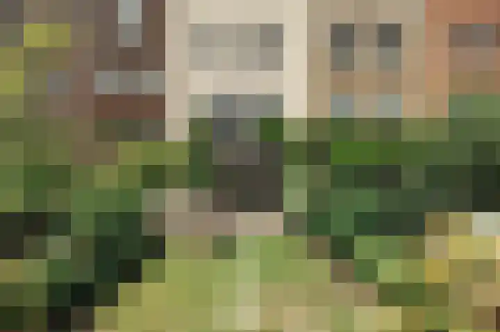 Kelderwindkade 33 Haarlem thumbnail 22