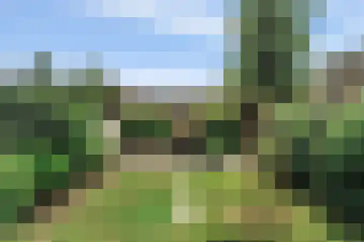 Kelderwindkade 33 Haarlem thumbnail 24