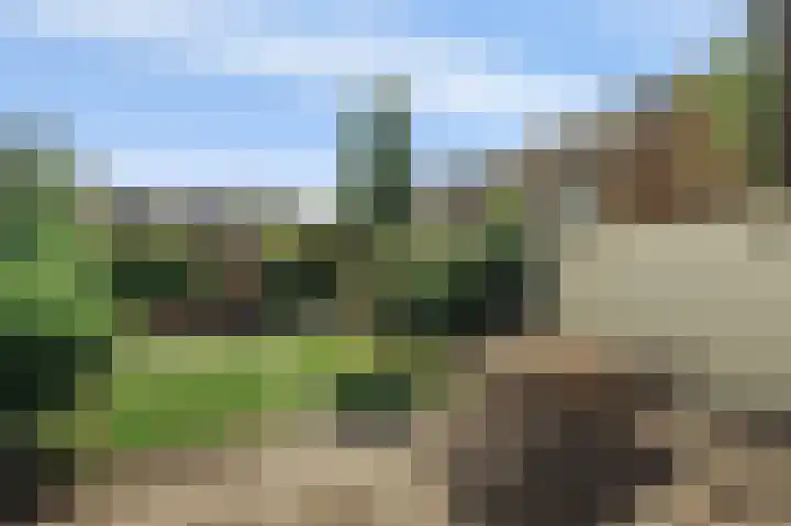 Kelderwindkade 33 Haarlem thumbnail 25