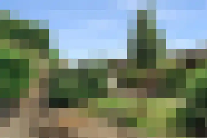 Kelderwindkade 33 Haarlem thumbnail 26
