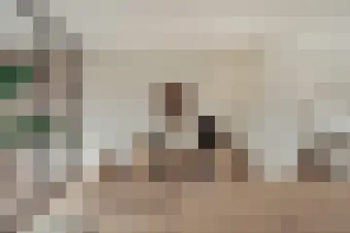 Kelderwindkade 33 Haarlem thumbnail 33