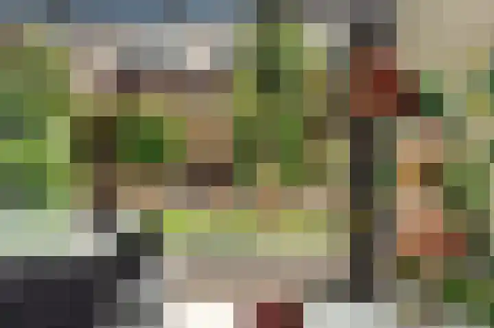 Kelderwindkade 33 Haarlem thumbnail 6