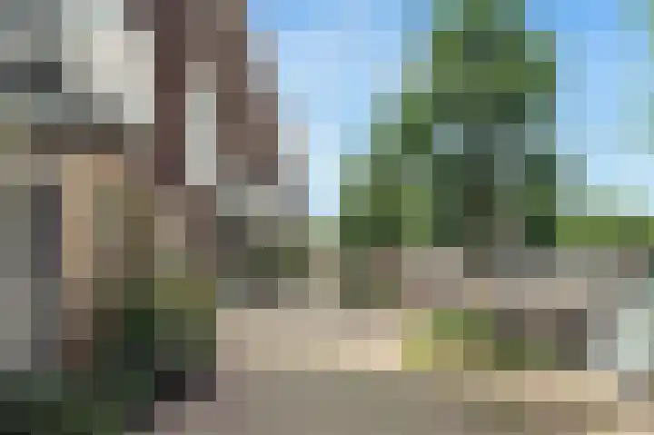 Kelderwindkade 33 Haarlem thumbnail 65