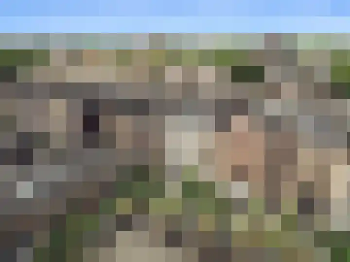 Kelderwindkade 33 Haarlem thumbnail 66