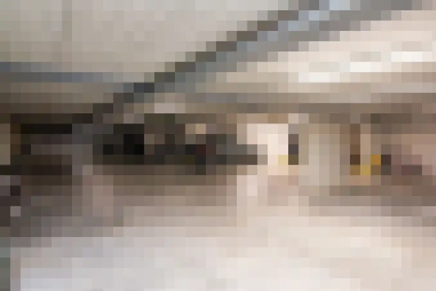 Kelderwindkade 73 Haarlem thumbnail 36