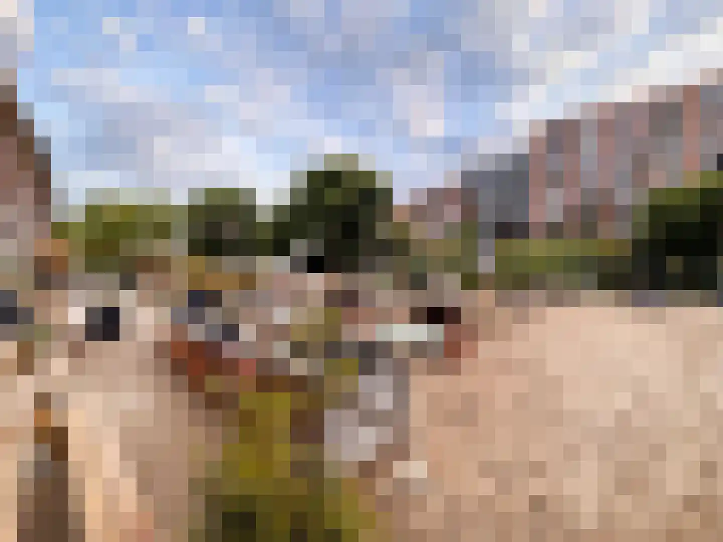 Kelderwindkade 73 Haarlem thumbnail 37