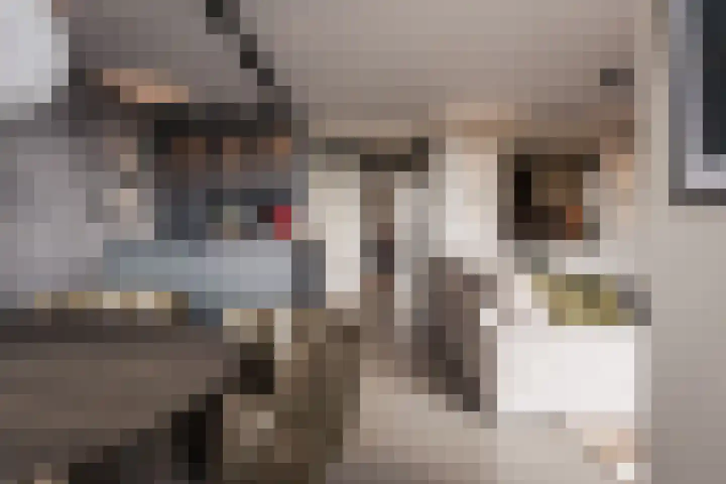 Kelderwindkade 75 Haarlem thumbnail 10