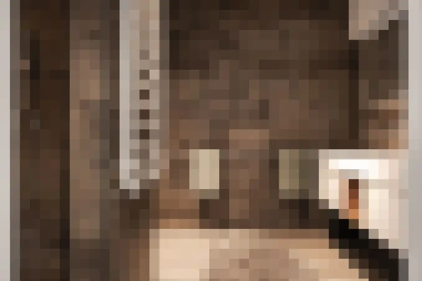 Kelderwindkade 75 Haarlem thumbnail 33