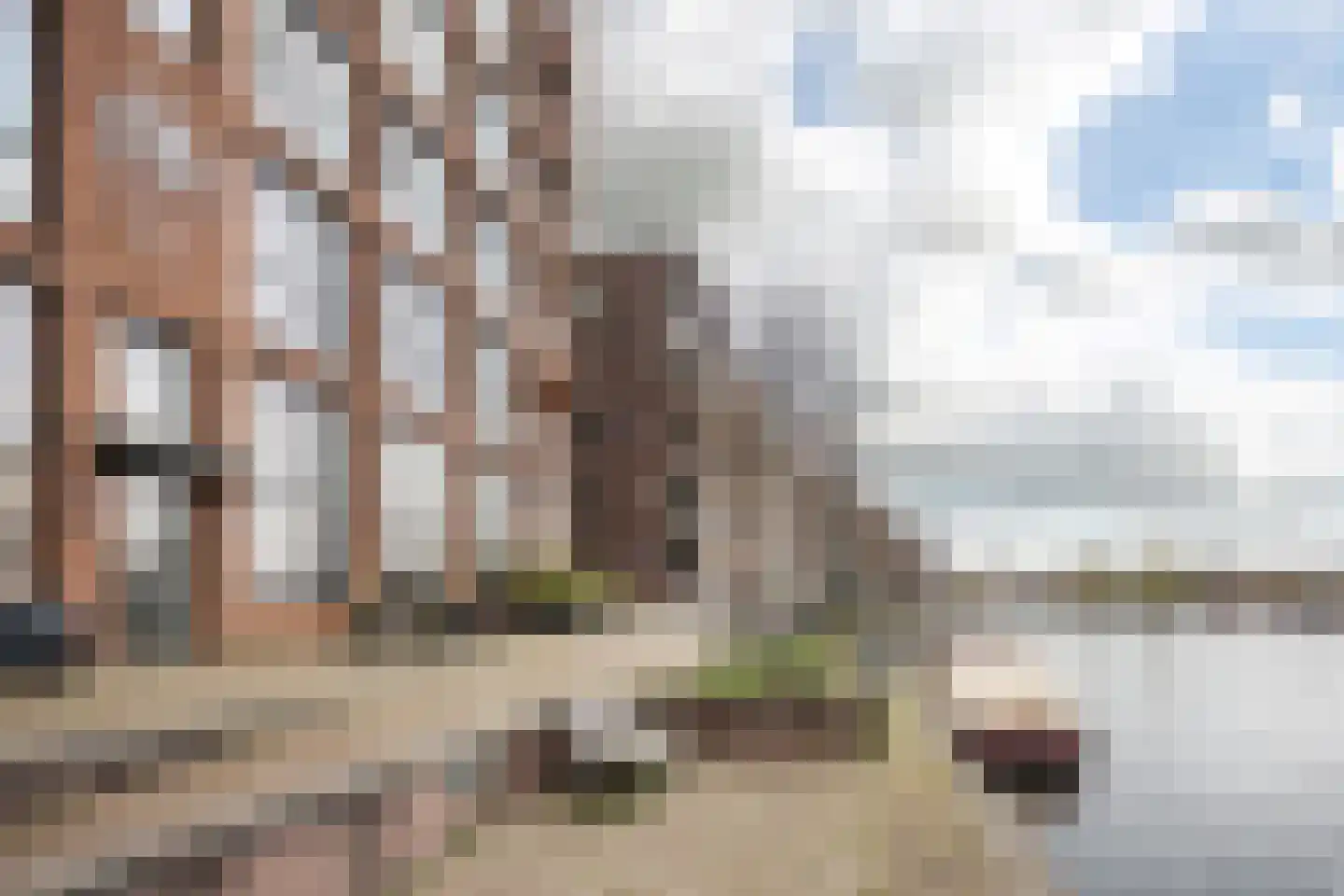 Kelderwindkade 75 Haarlem thumbnail 40