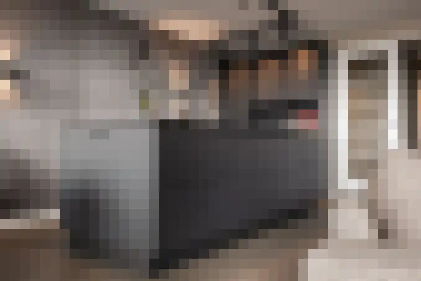 Kelderwindkade 75 Haarlem thumbnail 6