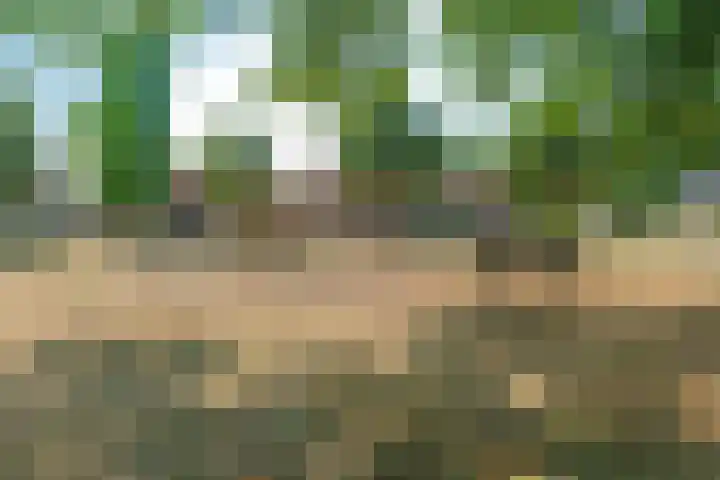 Kellerberg 18 Gennep thumbnail 27