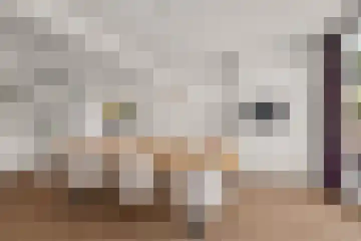 Kellerberg 18 Gennep thumbnail 9