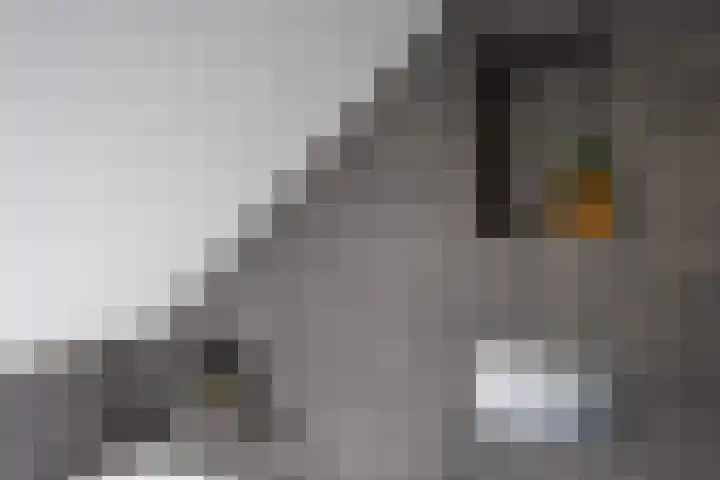 Kellerberg 21 Gennep thumbnail 31