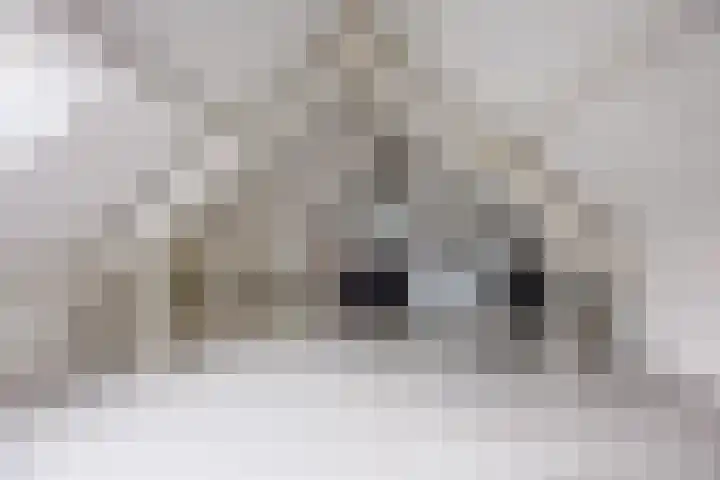 Kellerberg 21 Gennep thumbnail 36