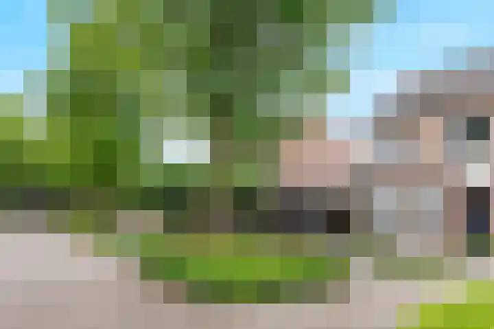 Kellerberg 21 Gennep thumbnail 48