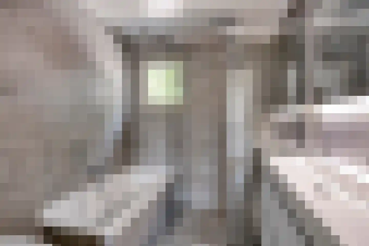 Kellerberg 61 Gennep thumbnail 4