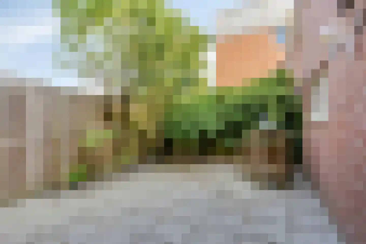 Kellerberg 78 Gennep thumbnail 32