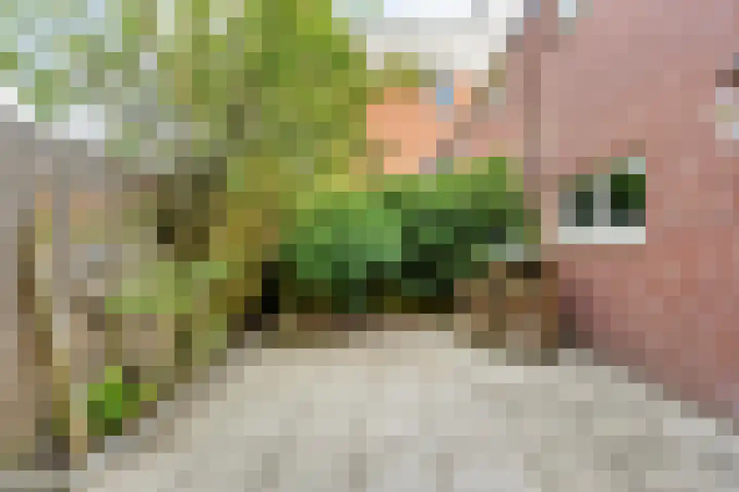 Kellerberg 78 Gennep thumbnail 33
