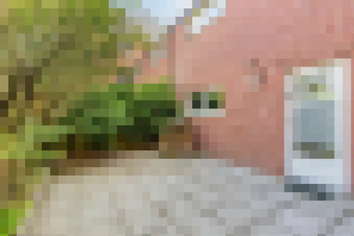Kellerberg 78 Gennep thumbnail 35
