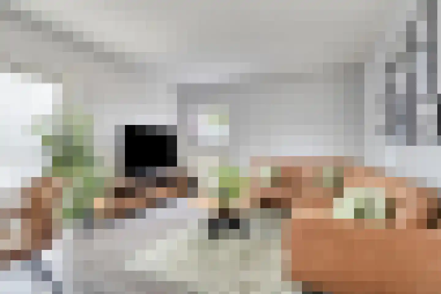 Kellerberg 78 Gennep thumbnail 8