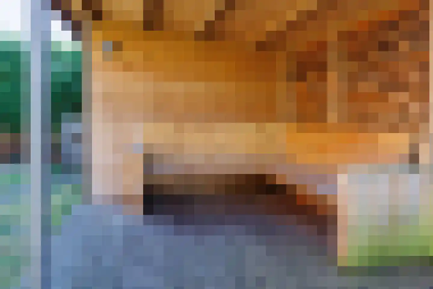 Kellerberg 94 Gennep thumbnail 35