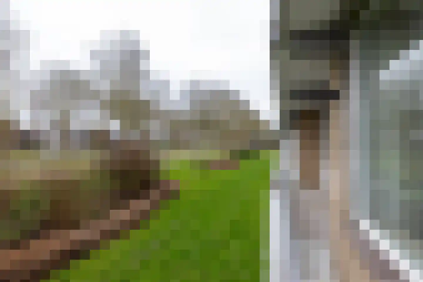 Kelloggplaats 10 Rotterdam thumbnail 21