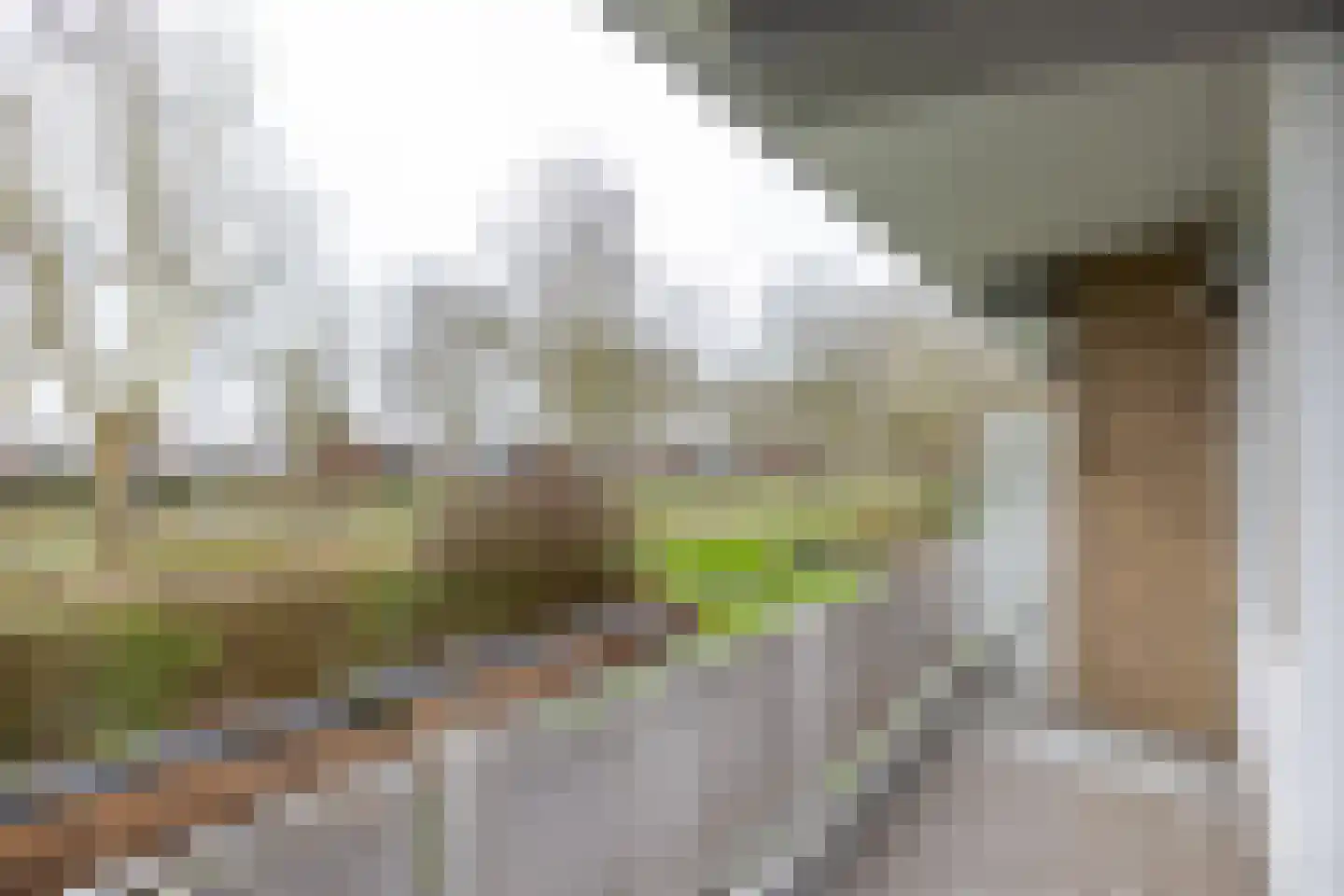 Kelloggplaats 10 Rotterdam thumbnail 23