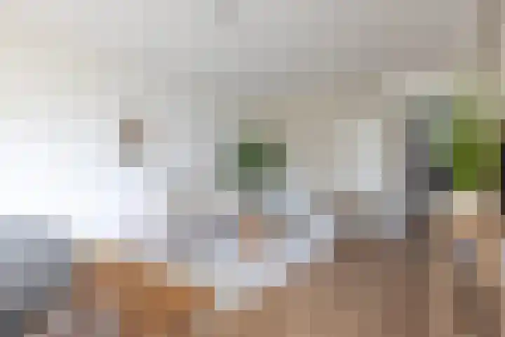 Kelloggplaats 100 Rotterdam thumbnail 4