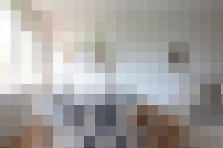 Kelloggplaats 100 Rotterdam thumbnail 5