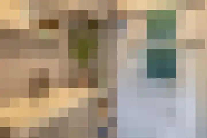 Kelloggplaats 114 Rotterdam thumbnail 14