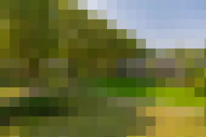 Kelloggplaats 114 Rotterdam thumbnail 15