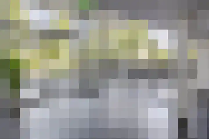 Kelloggplaats 114 Rotterdam thumbnail 18