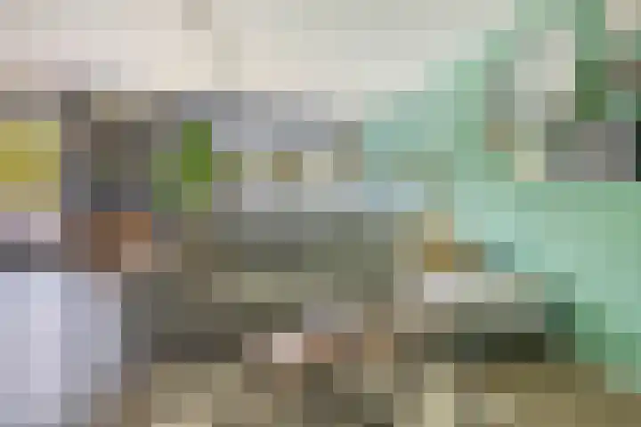 Kelloggplaats 114 Rotterdam thumbnail 5