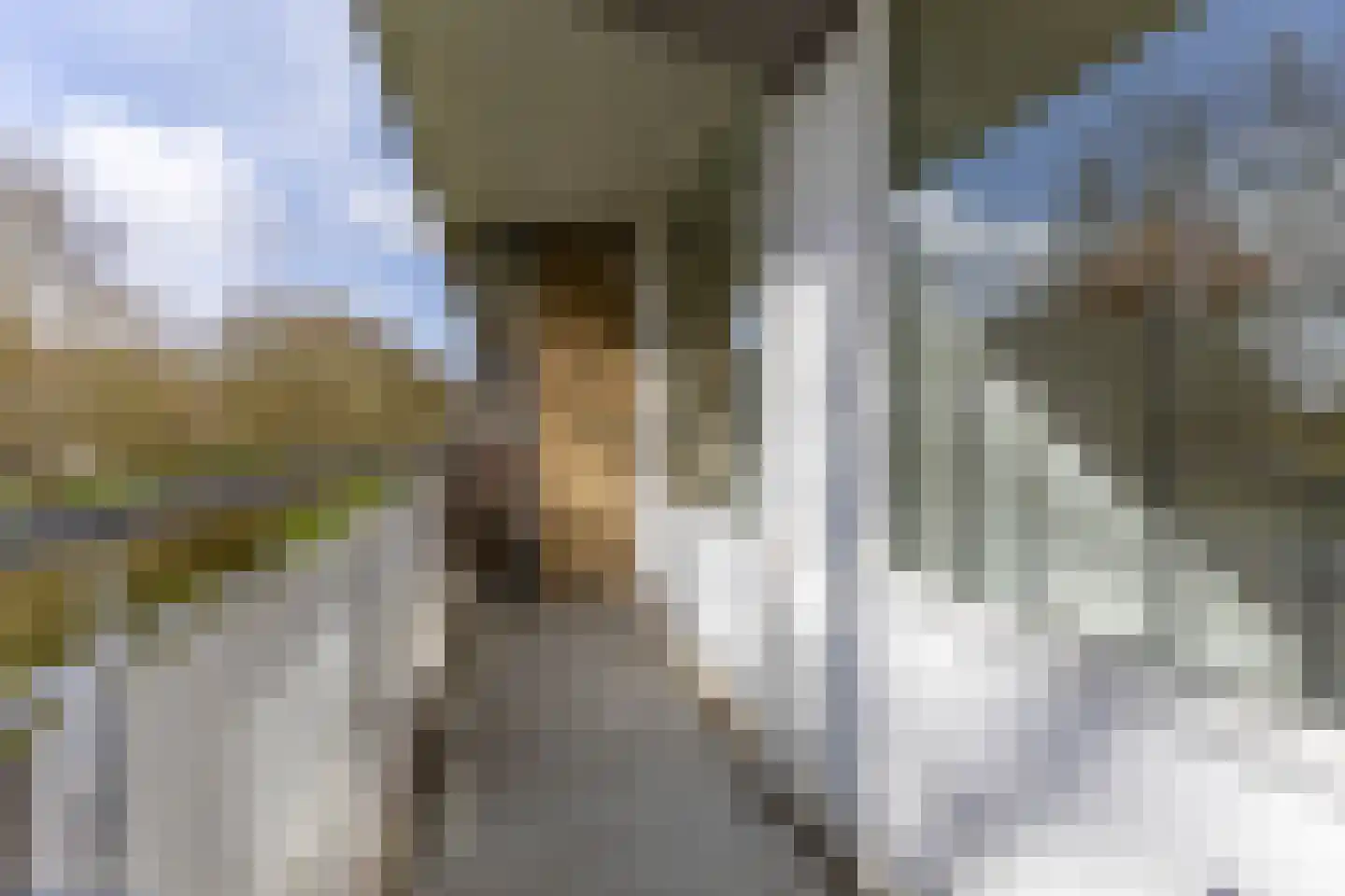 Kelloggplaats 14 Rotterdam thumbnail 11