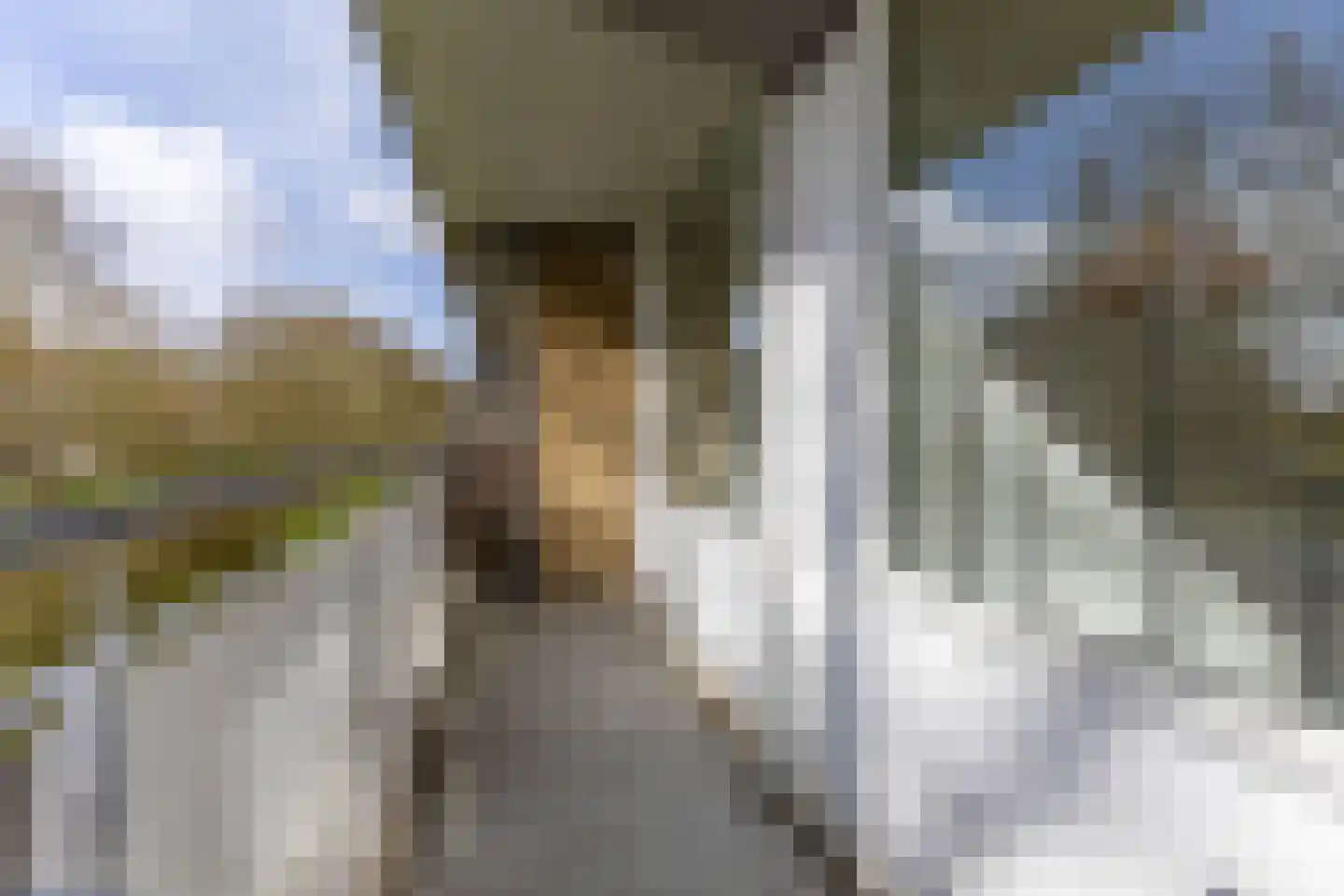 Kelloggplaats 16 Rotterdam thumbnail 11