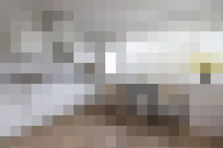 Kelloggplaats 16 Rotterdam thumbnail 9