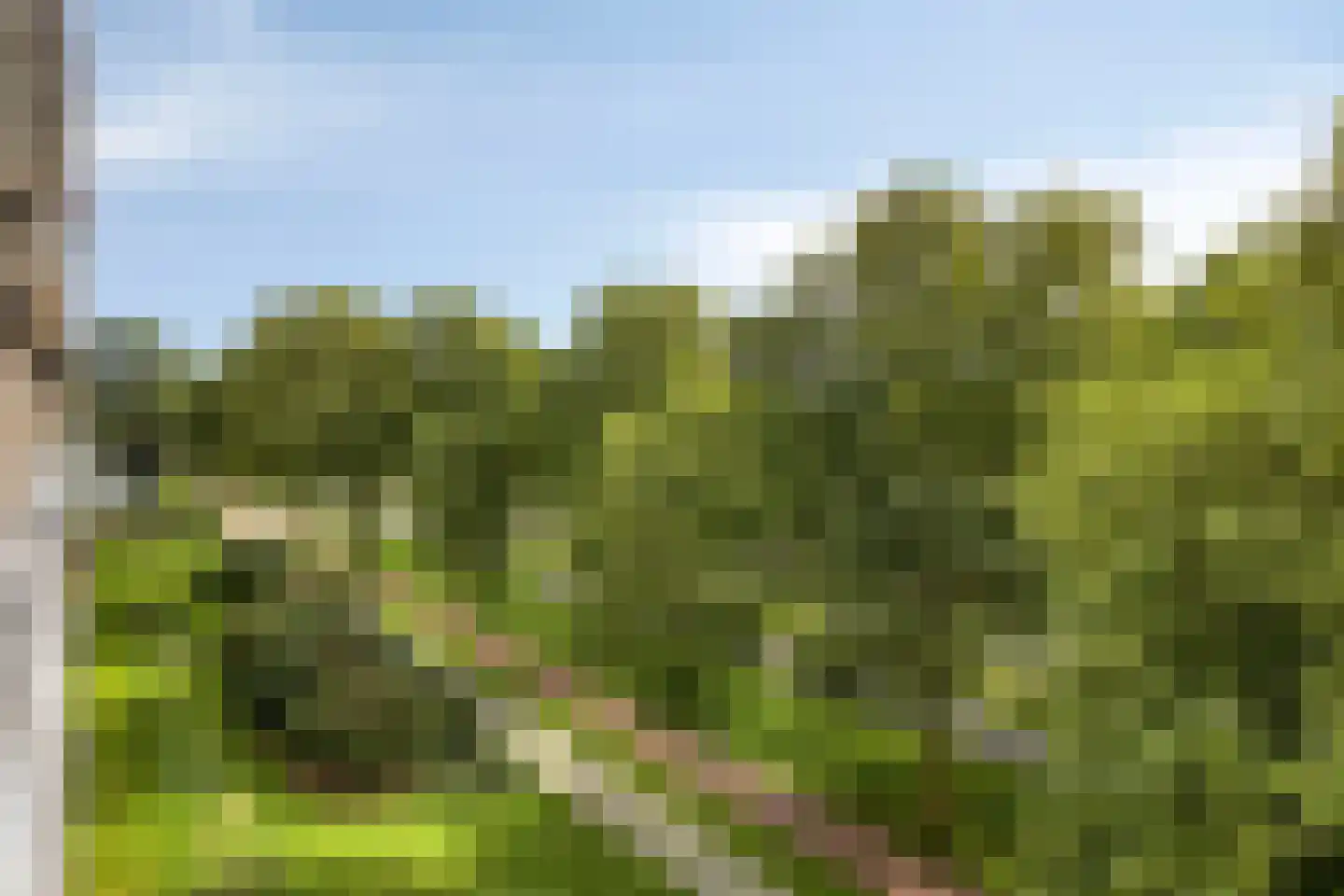 Kelloggplaats 178 Rotterdam thumbnail 25