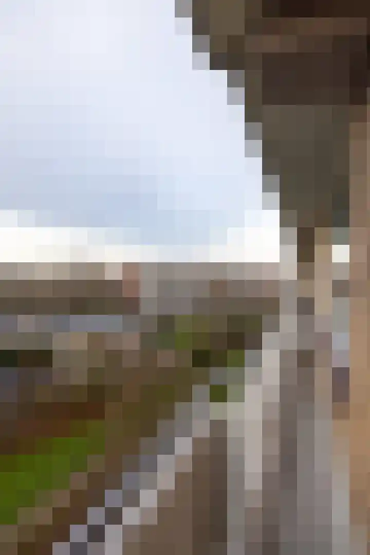 Kelloggplaats 202 Rotterdam thumbnail 12