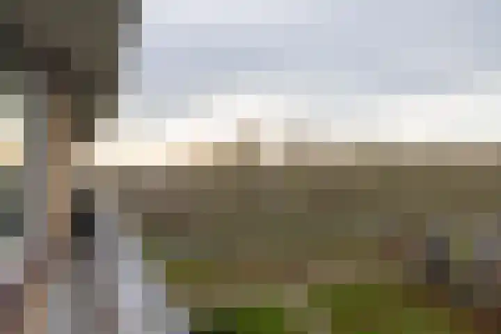 Kelloggplaats 202 Rotterdam thumbnail 13