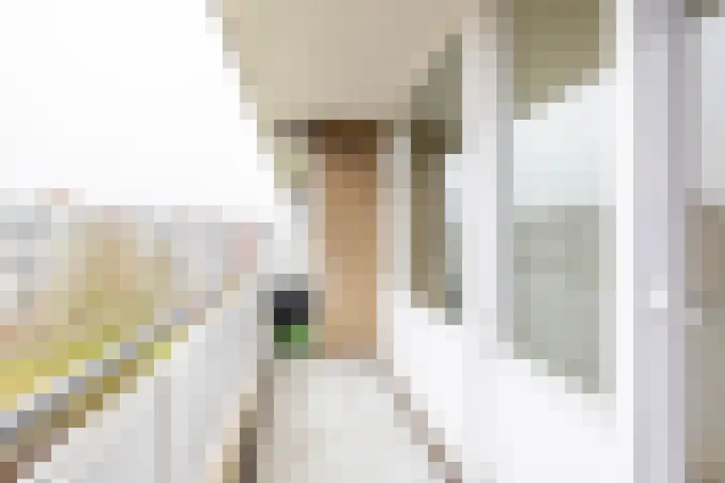 Kelloggplaats 212 Rotterdam thumbnail 8