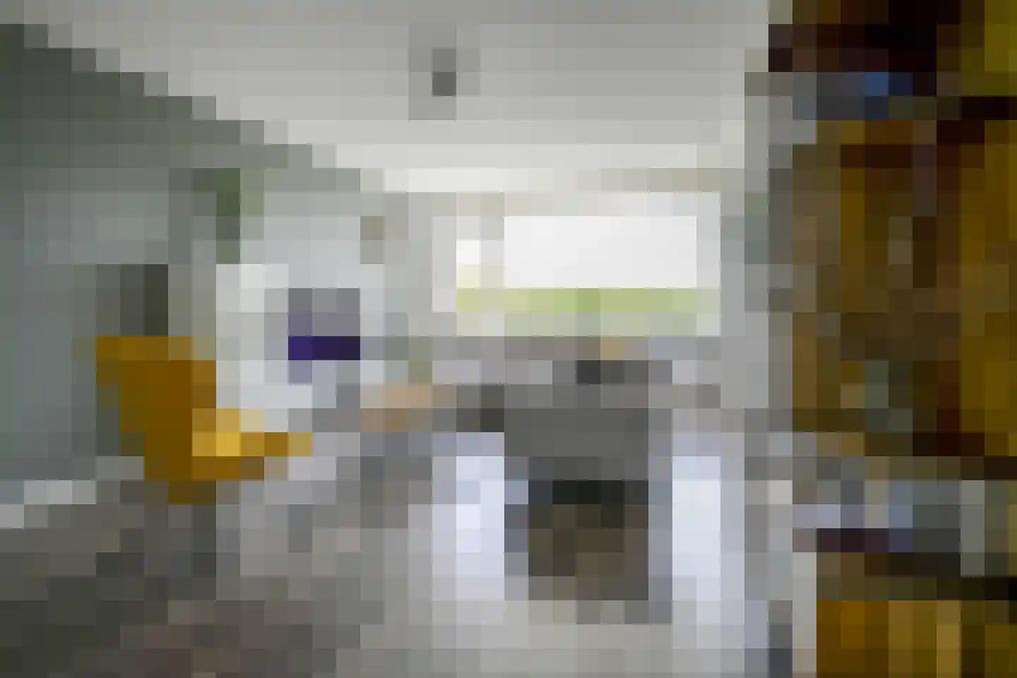 Kelloggplaats 230 Rotterdam thumbnail 11