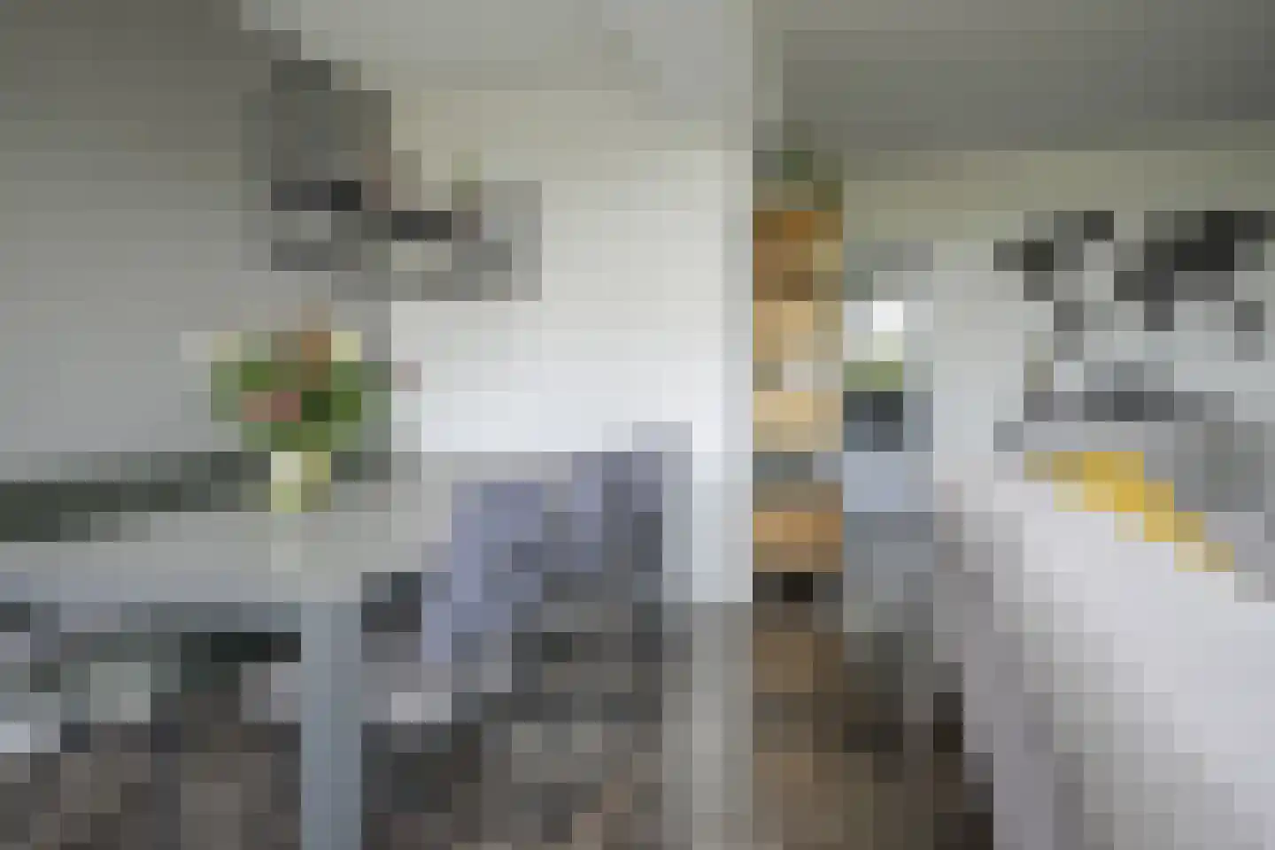 Kelloggplaats 230 Rotterdam thumbnail 15