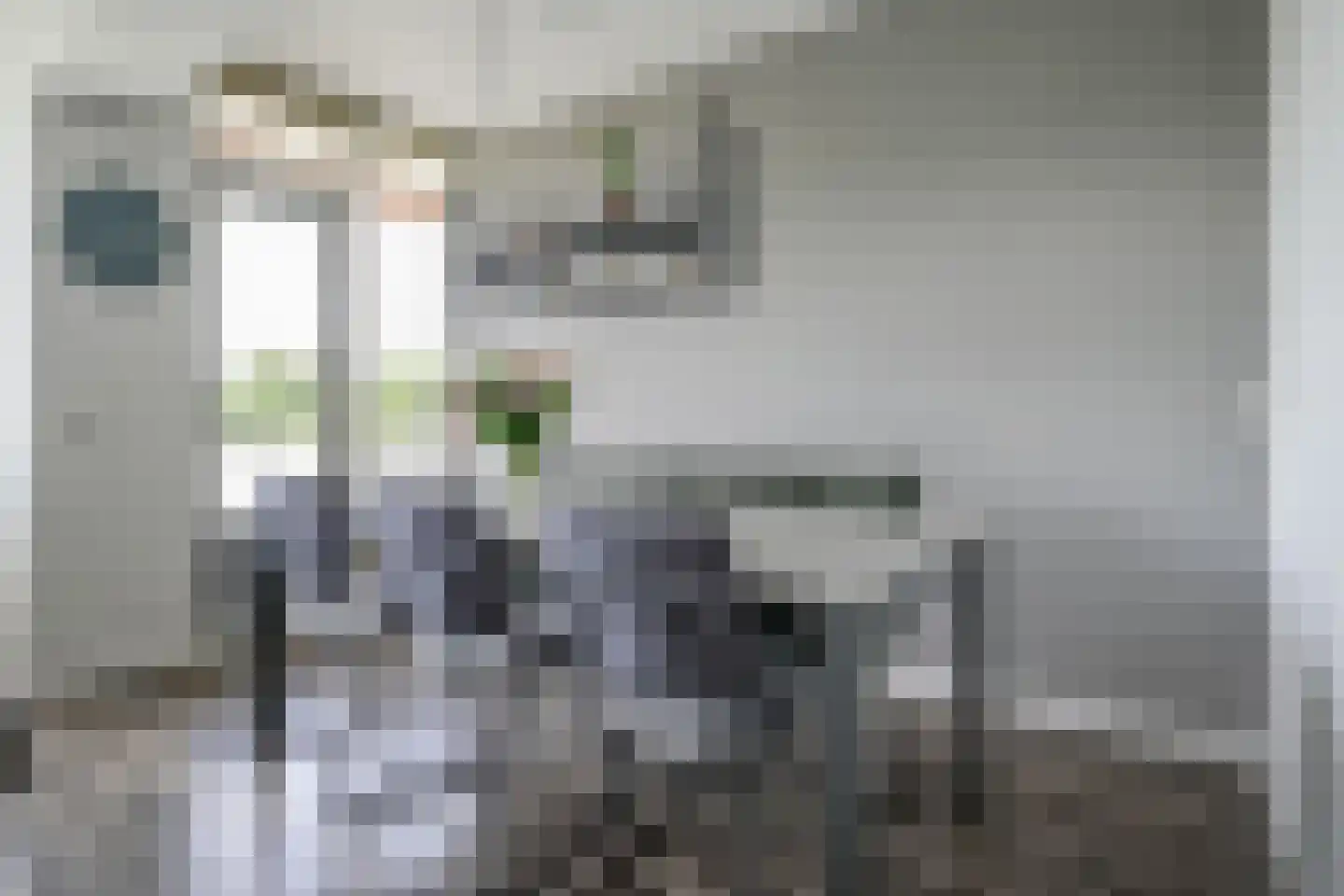 Kelloggplaats 230 Rotterdam thumbnail 16