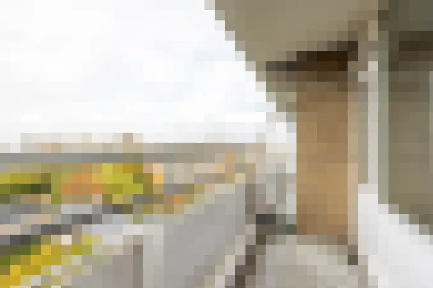 Kelloggplaats 248 Rotterdam thumbnail 5
