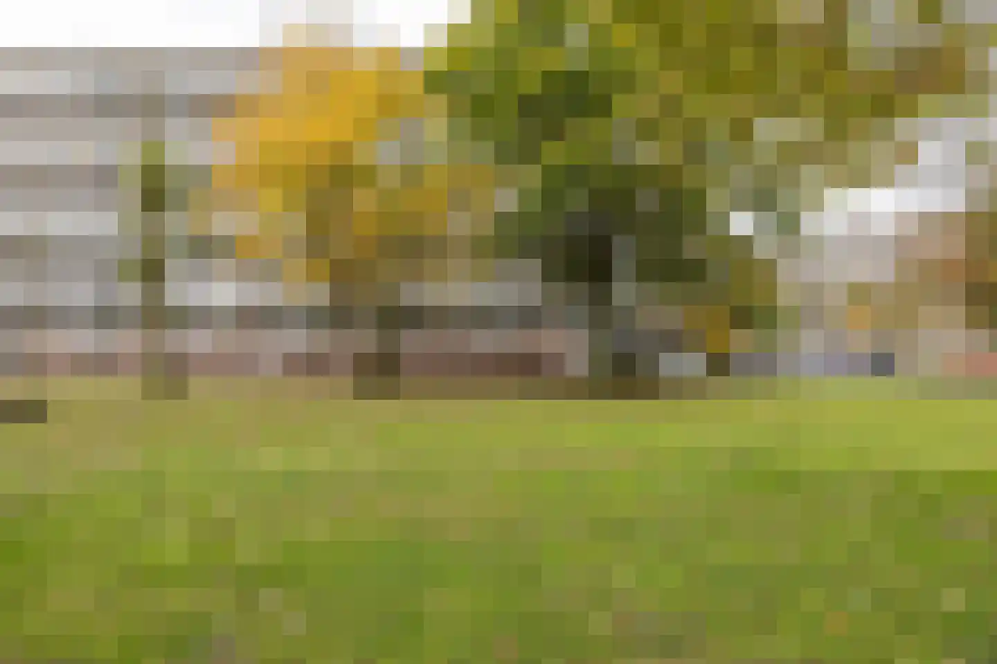 Kelloggplaats 248 Rotterdam thumbnail 6